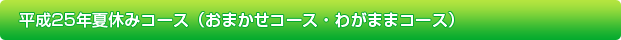平成25年夏休みコース（おまかせコース・わがままコース）